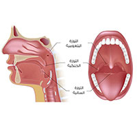 عملية اللوز للكبار
